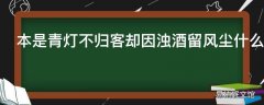 本是青灯不归客却因浊酒留风尘什么意思