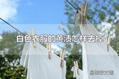 白色衣服的黄渍怎样去掉 白色衣服为什么变黄