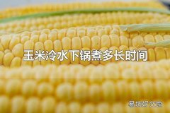 玉米冷水下锅煮多长时间 玉米有什么吃法