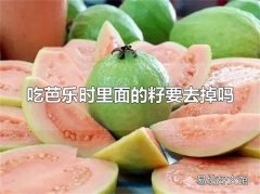 吃芭乐时里面的籽要去掉吗 吃芭乐时籽不需要去掉