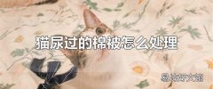 猫尿过的棉被怎么处理 小苏打和白醋轻松去除猫尿