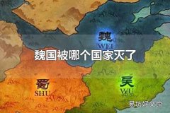 魏国被哪个国家灭了 魏国被秦国灭了