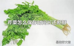 芹菜怎么保存时间长还新鲜 保存芹菜要保持充足的水分