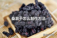 桑葚干怎么制作方法 桑葚干食用的方法