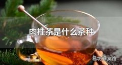 肉桂茶是什么茶种 肉桂茶有什么特点