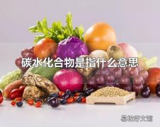 碳水化合物是指什么意思 含有碳水化合物的常见食物有哪些