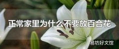 正常家里为什么不要放百合花 养百合花适合放哪里