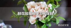 鲜花放花瓶里怎样保鲜