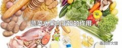 蔬菜水果肉蛋奶的作用