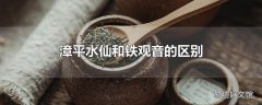 漳平水仙和铁观音的区别