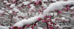 立春就下雪是不是倒春寒