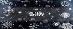 雪花别称