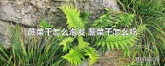 蕨菜干怎么泡发 蕨菜干怎么吃