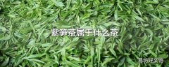 紫笋茶属于什么茶