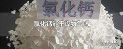 氯化钙能干燥氨气吗