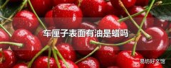 车厘子表面有油是蜡吗