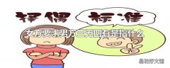 女方要求男方三无四有是指什么