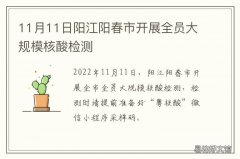 11月11日阳江阳春市开展全员大规模核酸检测 广东省阳江市阳春新闻